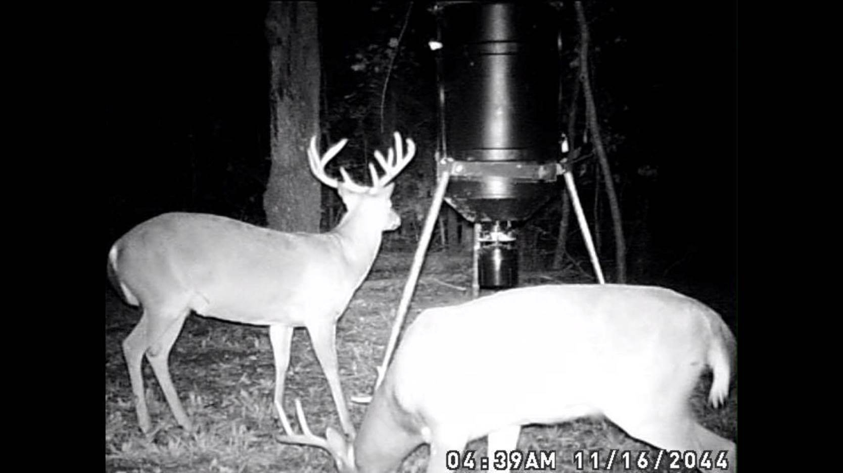 (3/5) He said using our deer attractant was the first time the deer have shown up to the feeder this entire year.
