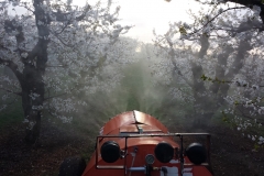 (1/3) Eden Acres Cherry Orchard in Washington State is seeing beautiful blooms and harvests on the Blue Gold™ Program.