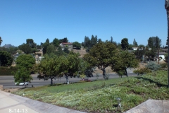 (1/11) Current pictures of avocados and fig trees in an El Cajon, California estate. The property owner is a four-time California Landscape Champion with many awards from San Diego also. He has only used natural solutions for the past 28 years. The avocados haven't produced hardly anything each year for more than 10 years. Also the figs just barely produced anything each year.