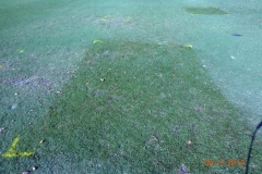 (4/5) With the use of Blue Gold™ Base and Blue Gold™ Fusion VEG, this Golf Course test yields extremely visible results.
