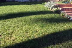 This is the greenest lawn in this California neighborhood. All the neighbors thought they were overwatering with how much greener their yard was compared to theirs. All thanks to the Blue Gold™.