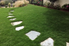 (1/4) This lawn is lush and vibrant green, and the California water restrictions did not hinder this lawn.