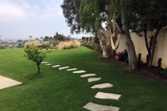 (4/4) This lawn is in the middle of the California drought and is under watering restrictions. Blue Gold™ increases water holding capacity in your soil and enables you to water less. Beautiful lawns are easy with Blue Gold™.