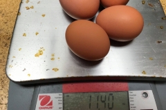 (3/5) The four biggest eggs that would not let the carton shut weighed 11.40 ounces.