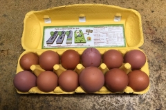 (5/5) The Dozen Grand Champion PME® Eggs