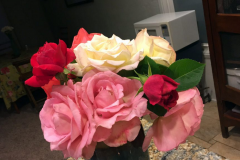 “These roses were cut as blooms and not buds, 10 days ago.” Blue Gold™ gives you long lasting cuts!