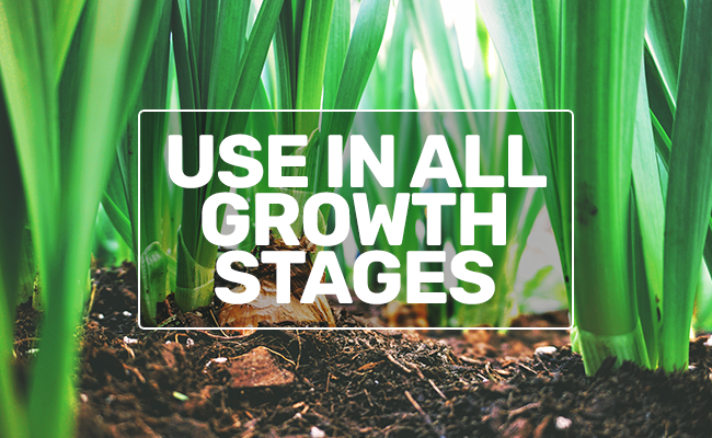 allgrowthstages