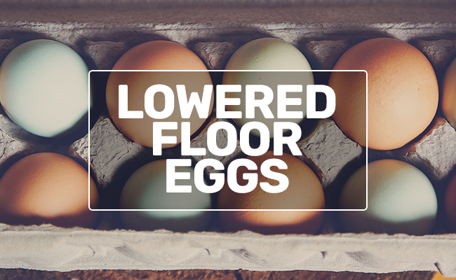 floor eggs