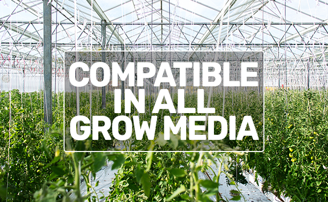 growmedia